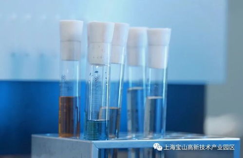 人工智能赋能生物医药 宝山企业以国际领先技术培育高端生物制品